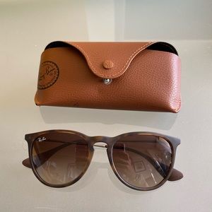 RayBan Erika Sunglasses in Brown